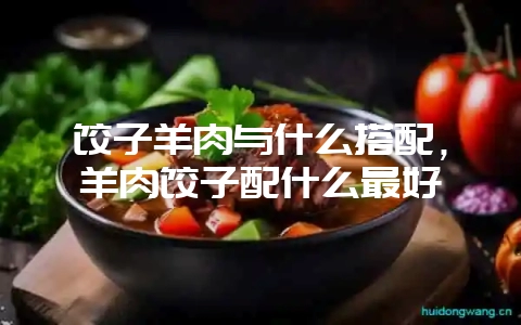 饺子羊肉与什么搭配,羊肉饺子配什么最好插图 饺子羊肉与什么搭配,羊肉饺子配什么最好插图