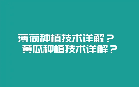薄荷种植技术详解？ 黄瓜种植技术详解？-会东网