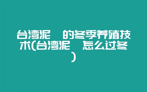 台湾泥鳅的冬季养殖技术(台湾泥鳅怎么过冬)-会东网