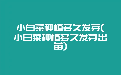 小白菜种植多久发芽(小白菜种植多久发芽出苗)-会东网