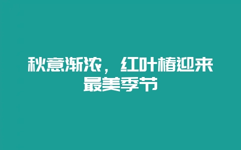 秋意渐浓,红叶椿迎来最美季节插图 秋意渐浓,红叶椿迎来最美季节插图
