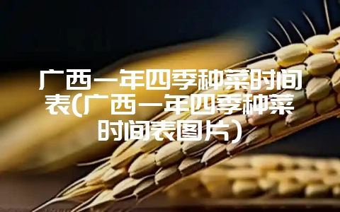 广西一年四季种菜时间表(广西一年四季种菜时间表图片)-会东网