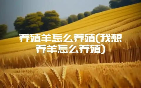 养殖羊怎么养殖(我想养羊怎么养殖)-会东网