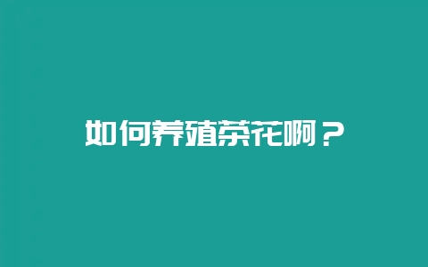 如何养殖茶花啊?插图 如何养殖茶花啊?插图