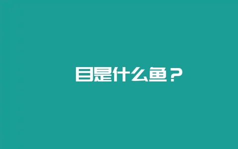 鳎目是什么鱼？-会东网