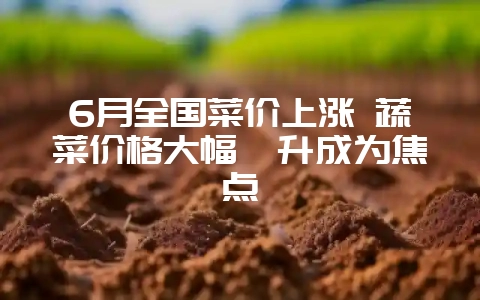 6月全国菜价上涨 蔬菜价格大幅飙升成为焦点-会东网