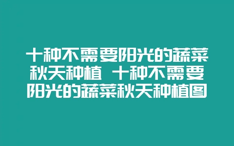 十种不需要阳光的蔬菜秋天种植 十种不需要阳光的蔬菜秋天种植图片-会东网