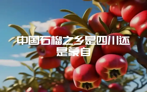 中国石榴之乡是四川还是蒙自插图 中国石榴之乡是四川还是蒙自插图