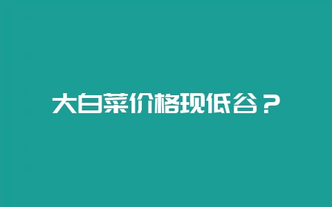大白菜价格现低谷?插图 大白菜价格现低谷?插图