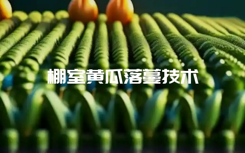 棚室黄瓜落蔓技术-会东网