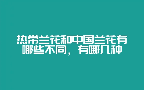 热带兰花和中国兰花有哪些不同，有哪几种-会东网