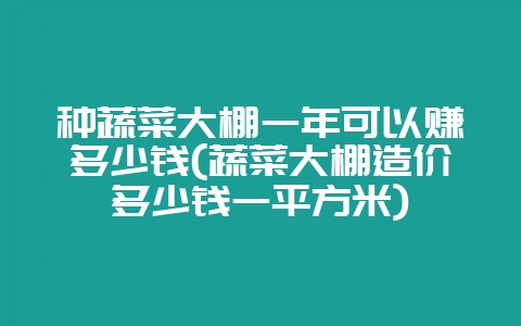 种蔬菜大棚一年可以赚多少钱(蔬菜大棚造价多少钱一平方米)-会东网