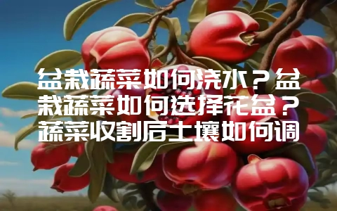 盆栽蔬菜如何浇水？盆栽蔬菜如何选择花盆？蔬菜收割后土壤如何调整？-会东网