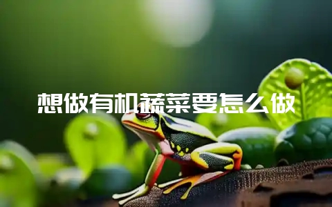 想做有机蔬菜要怎么做-会东网