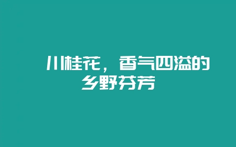 潢川桂花,香气四溢的乡野芬芳插图 潢川桂花,香气四溢的乡野芬芳插图