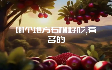 哪个地方石榴好吃,有名的-会东网