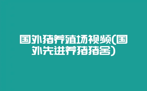 国外猪养殖场视频(国外先进养猪猪舍)-会东网
