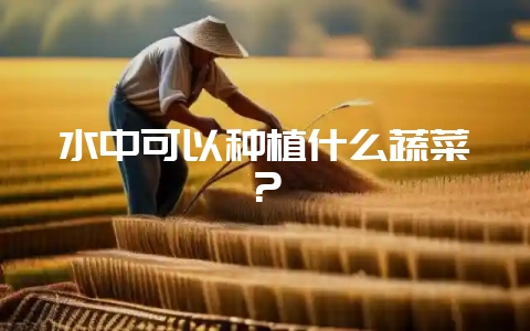水中可以种植什么蔬菜？-会东网