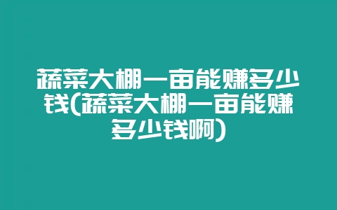 蔬菜大棚一亩能赚多少钱(蔬菜大棚一亩能赚多少钱啊)-会东网