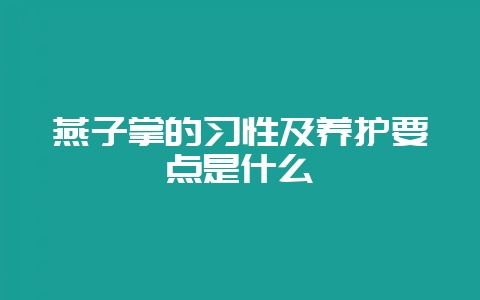 燕子掌的习性及养护要点是什么插图 燕子掌的习性及养护要点是什么插图