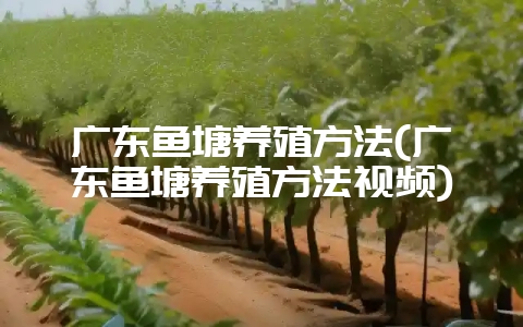 广东鱼塘养殖方法(广东鱼塘养殖方法视频)插图 广东鱼塘养殖方法(广东鱼塘养殖方法视频)插图