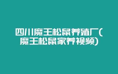 四川魔王松鼠养殖厂(魔王松鼠家养视频)-会东网