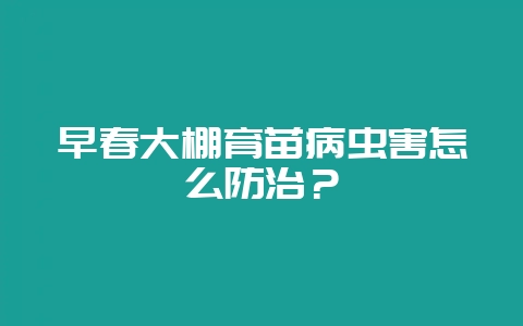 早春大棚育苗病虫害怎么防治?插图 早春大棚育苗病虫害怎么防治?插图