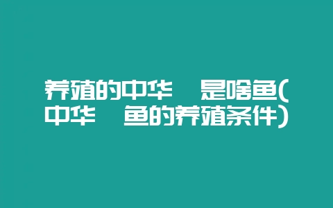 养殖的中华鲟是啥鱼(中华鲟鱼的养殖条件)-会东网