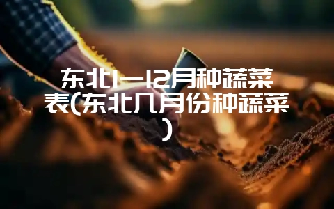 东北1一12月种蔬菜表(东北几月份种蔬菜)-会东网