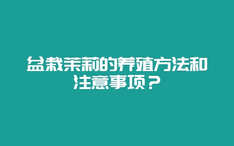 盆栽茉莉的养殖方法和注意事项？-会东网
