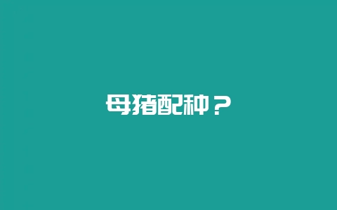 母猪配种？-会东网