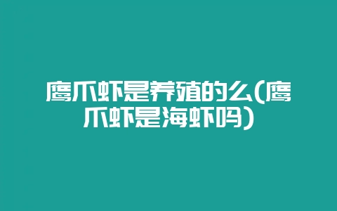 鹰爪虾是养殖的么(鹰爪虾是海虾吗)-会东网