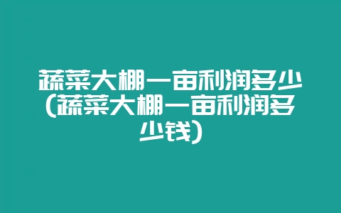 蔬菜大棚一亩利润多少(蔬菜大棚一亩利润多少钱)-会东网