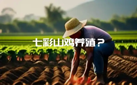 七彩山鸡养殖?插图 七彩山鸡养殖?插图