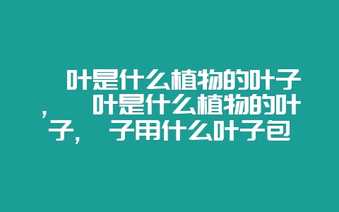 粽叶是什么植物的叶子，粽叶是什么植物的叶子,粽子用什么叶子包好？-会东网