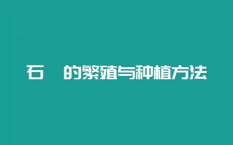 石楠的繁殖与种植方法-会东网