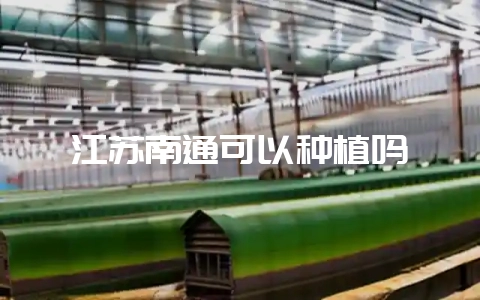 江苏南通可以种植吗-会东网