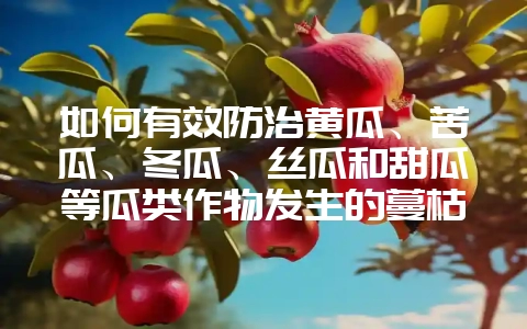 如何有效防治黄瓜、苦瓜、冬瓜、丝瓜和甜瓜等瓜类作物发生的蔓枯病？-会东网