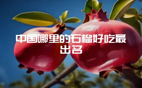 中国哪里的石榴好吃最出名-会东网