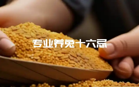 专业养兔十六忌-会东网