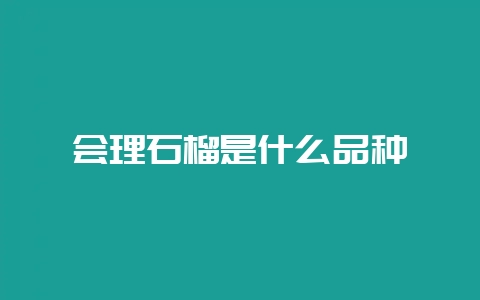 会理石榴是什么品种-会东网