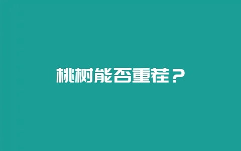 桃树能否重茬？-会东网