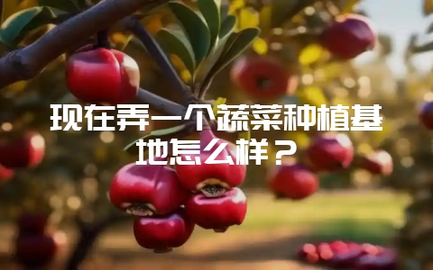 现在弄一个蔬菜种植基地怎么样？-会东网