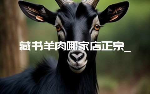 藏书羊肉哪家店正宗_-会东网