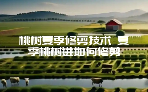桃树夏季修剪技术 夏季桃树进如何修剪-会东网