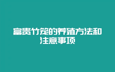 富贵竹笼的养殖方法和注意事项-会东网