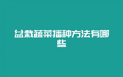 盆栽蔬菜播种方法有哪些插图 盆栽蔬菜播种方法有哪些插图