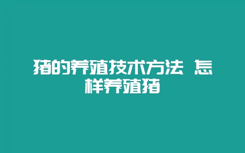 猪的养殖技术方法 怎样养殖猪-会东网