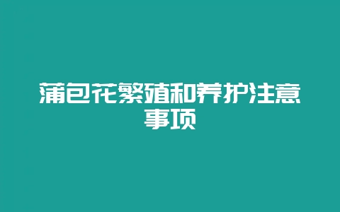 蒲包花繁殖和养护注意事项-会东网