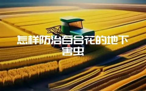 怎样防治百合花的地下害虫-会东网
